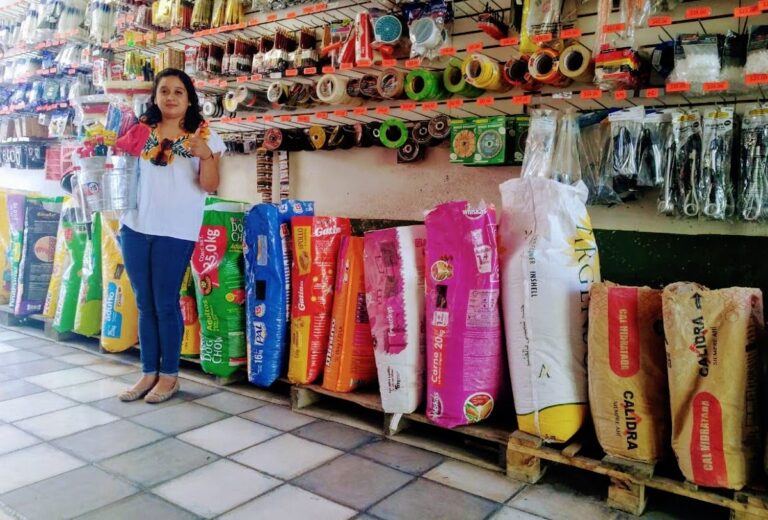 9868 la veinte limpieza y tlapaleria 768x520