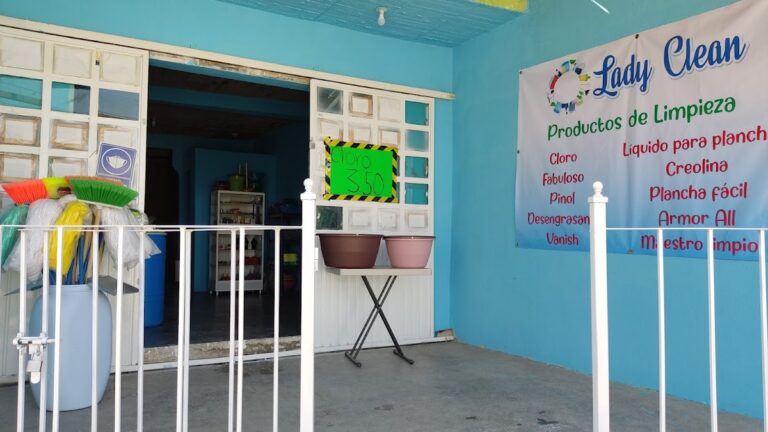 9893 lady clean 8221 productos de limpieza 8220 768x432