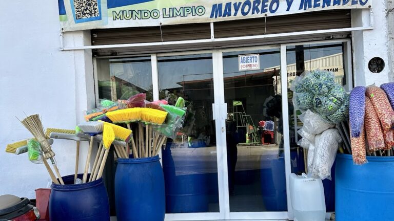 9895 productos de limpieza mundo limpio mayoreo y menudeo 768x432