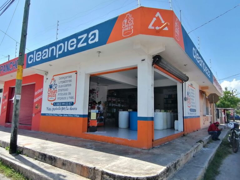 9929 cleanpieza 768x576