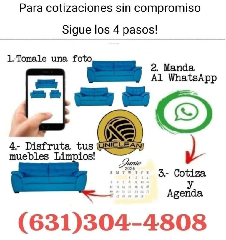 9967 uniclean limpieza de interiores 768x816