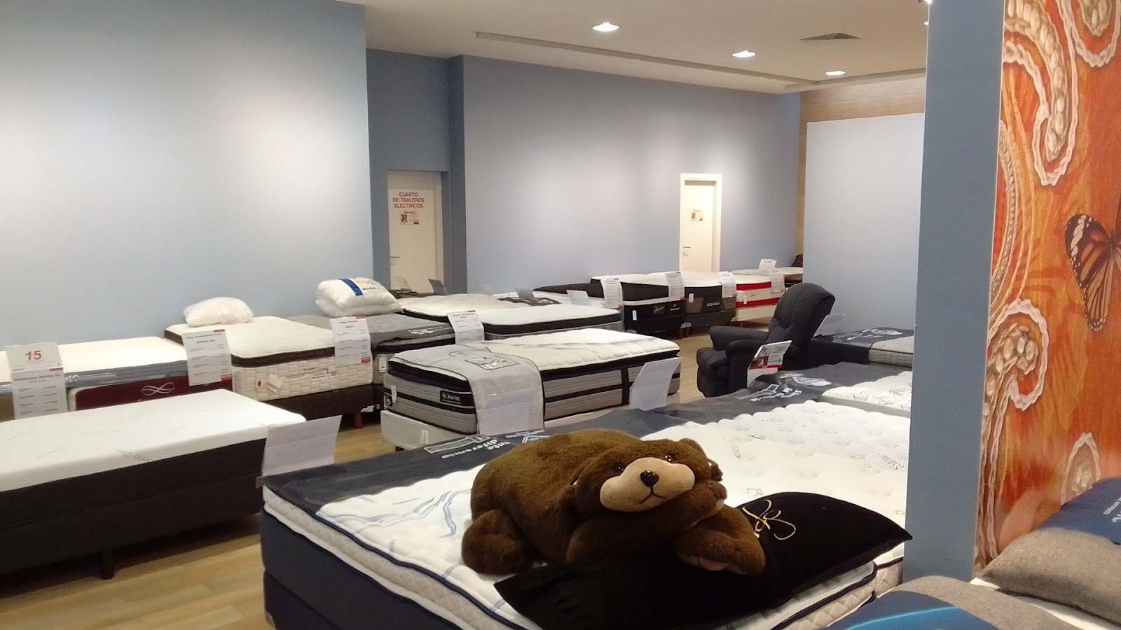 fanout-photo-1770412460657-4 fanout-photo-1770412460657-4