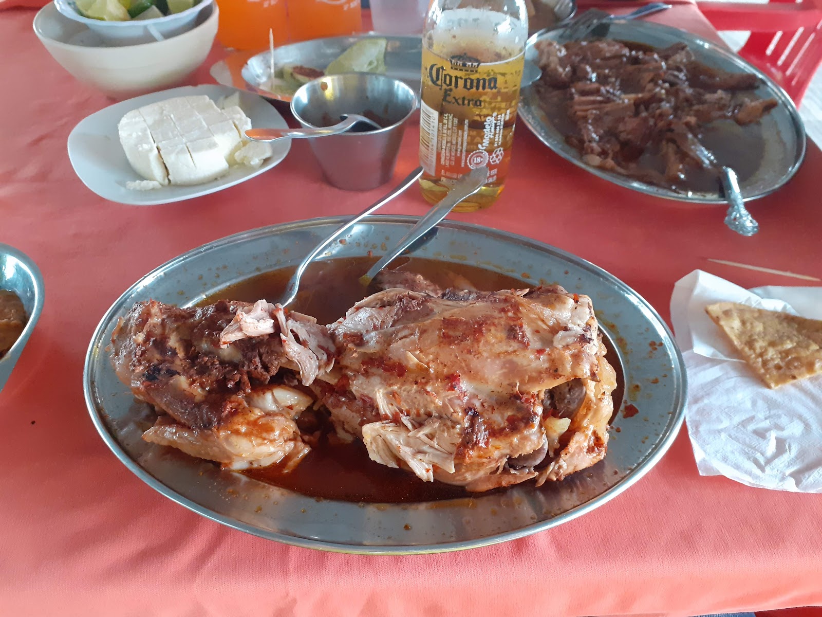 fanout-photo-1770493270389-4 fanout-photo-1770493270389-4