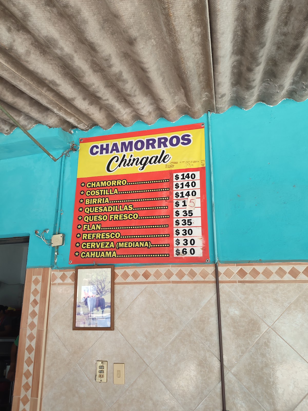 fanout-photo-1770493274374-9 fanout-photo-1770493274374-9