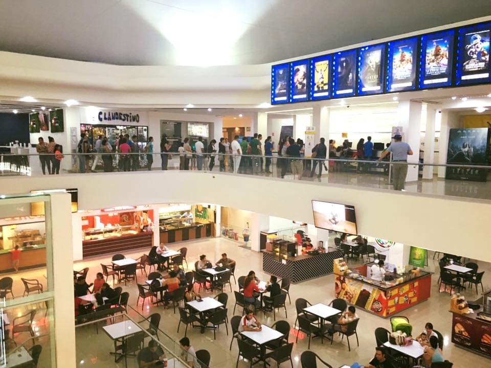 leetx-google-photo-1770150009084-5 leetx-google-photo-1770150009084-5