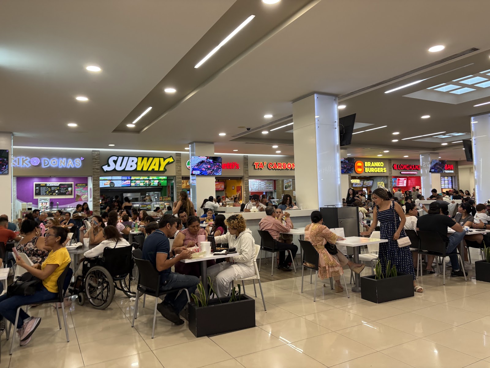 leetx-google-photo-1770150073409-1 leetx-google-photo-1770150073409-1