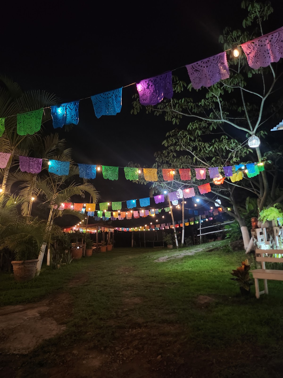 leetx-google-photo-1770151735390-5 leetx-google-photo-1770151735390-5