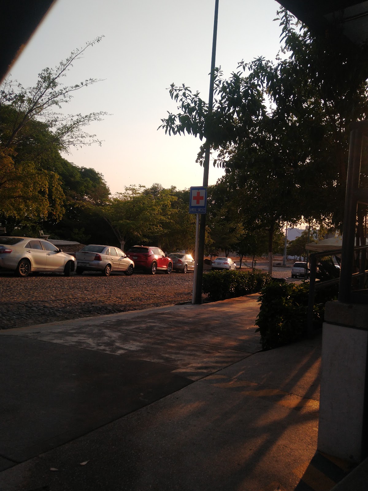 leetx-google-photo-1770152459101-0