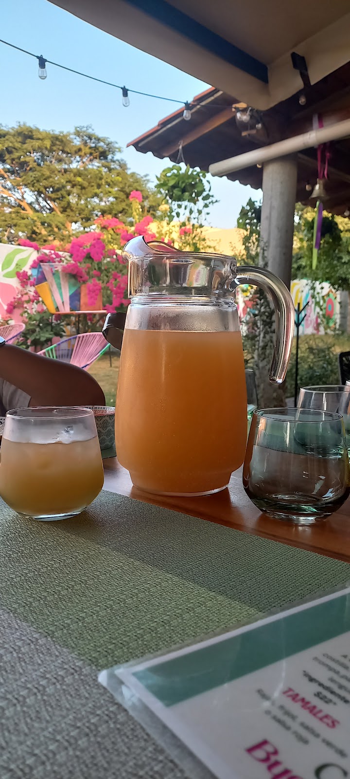 leetx-google-photo-1770152771185-6 leetx-google-photo-1770152771185-6