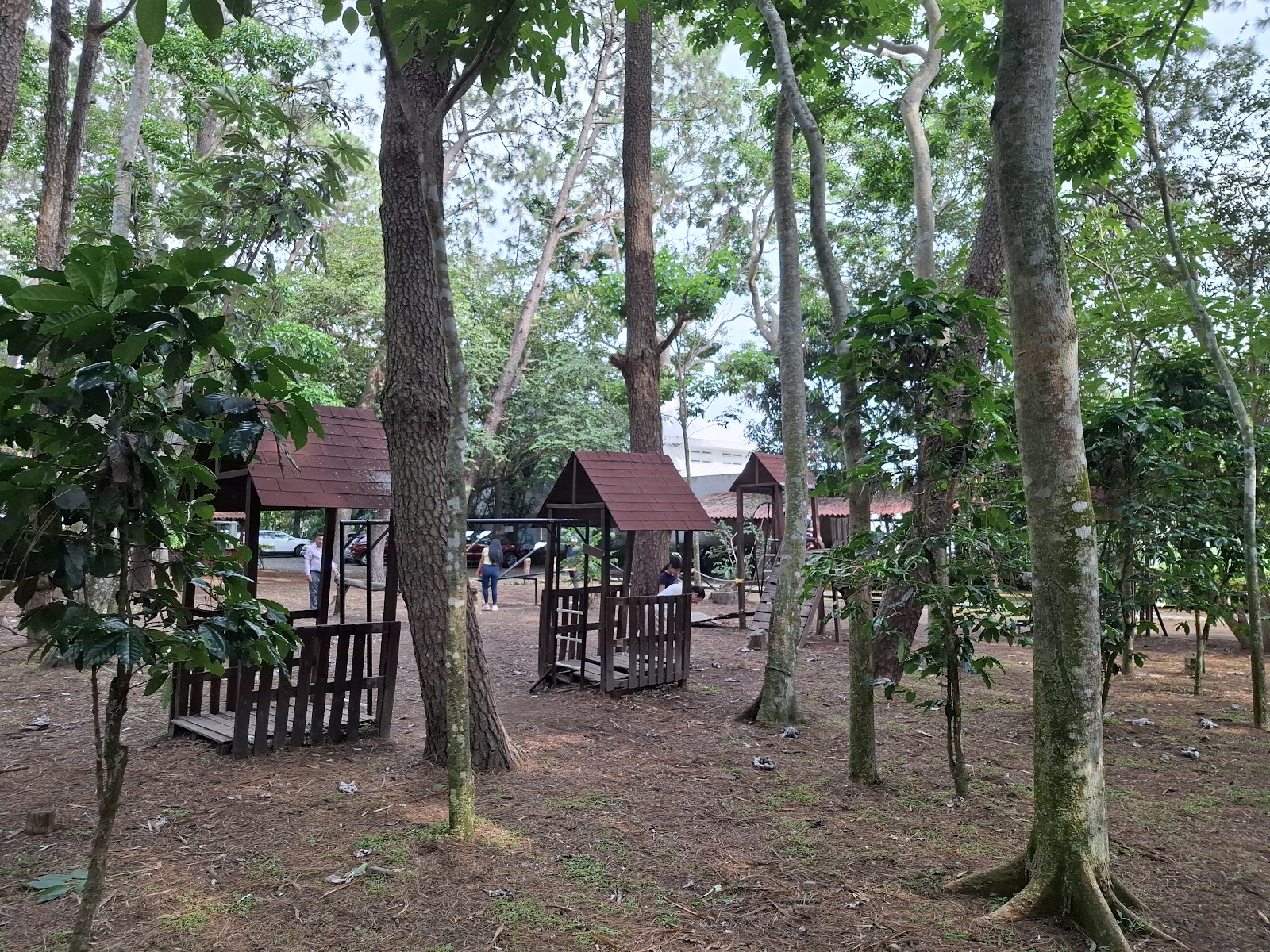 leetx-google-photo-1770152936818-2 leetx-google-photo-1770152936818-2