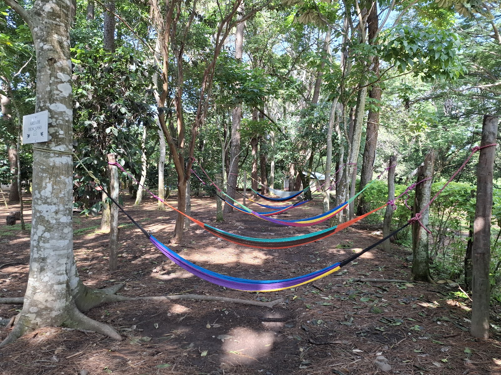 leetx-google-photo-1770152938664-3 leetx-google-photo-1770152938664-3