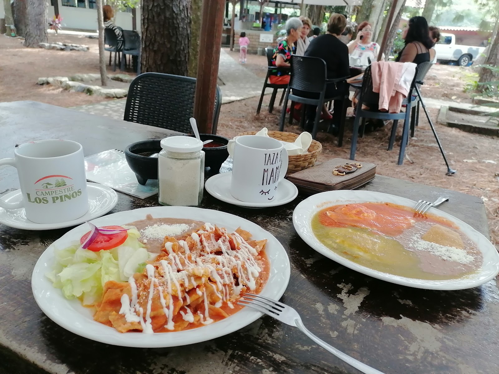 leetx-google-photo-1770152945288-7 leetx-google-photo-1770152945288-7