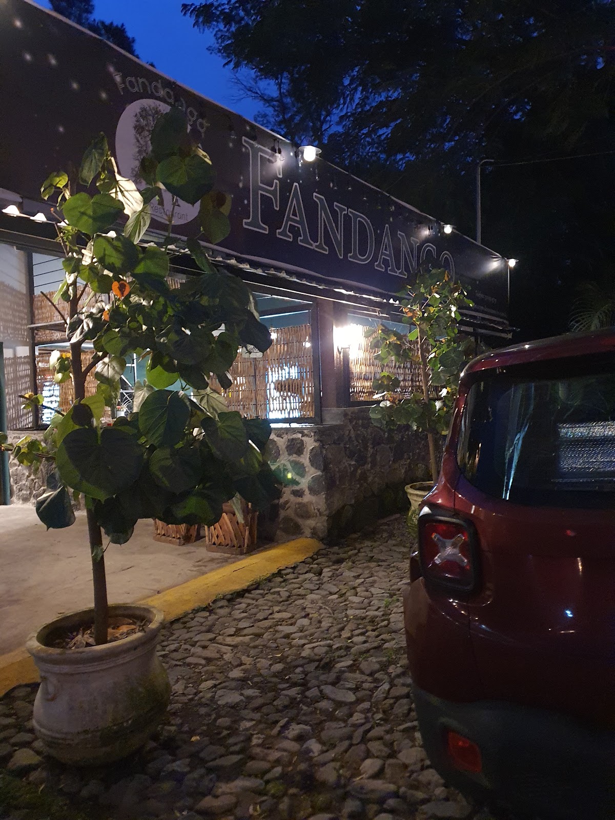 leetx-google-photo-1770153902164-3 leetx-google-photo-1770153902164-3