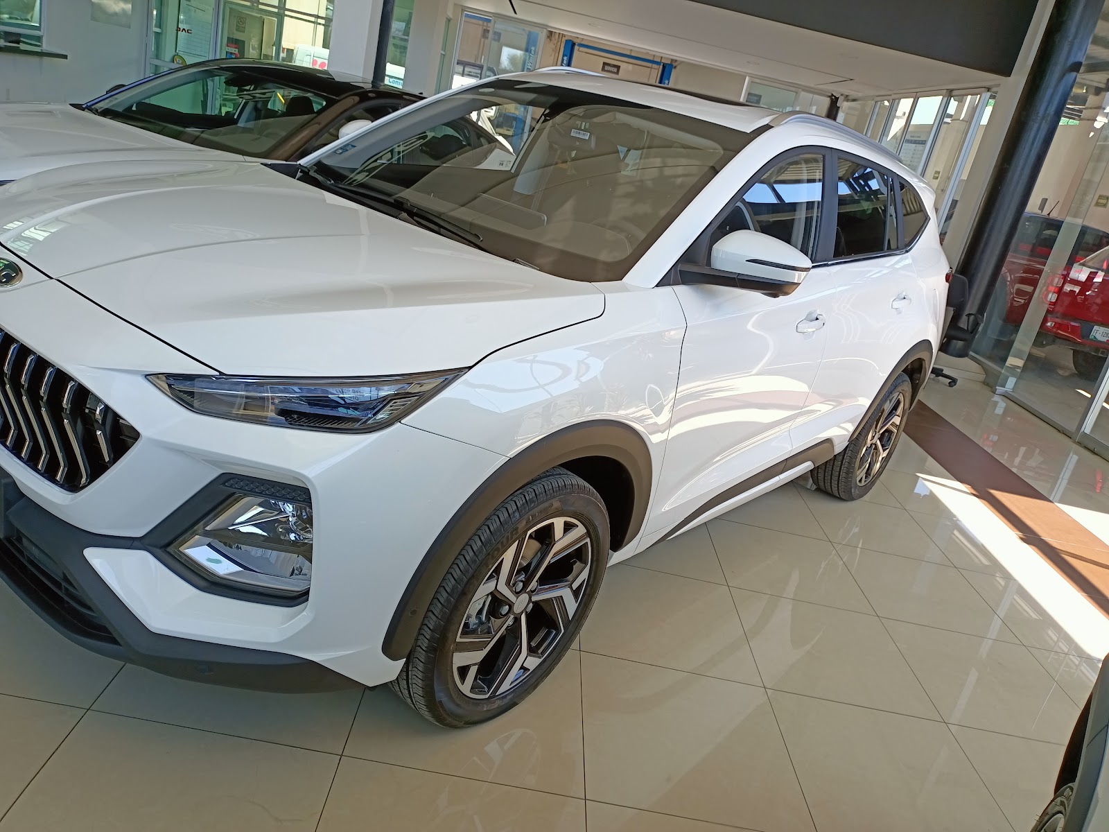 leetx-google-photo-1770165517544-6 leetx-google-photo-1770165517544-6