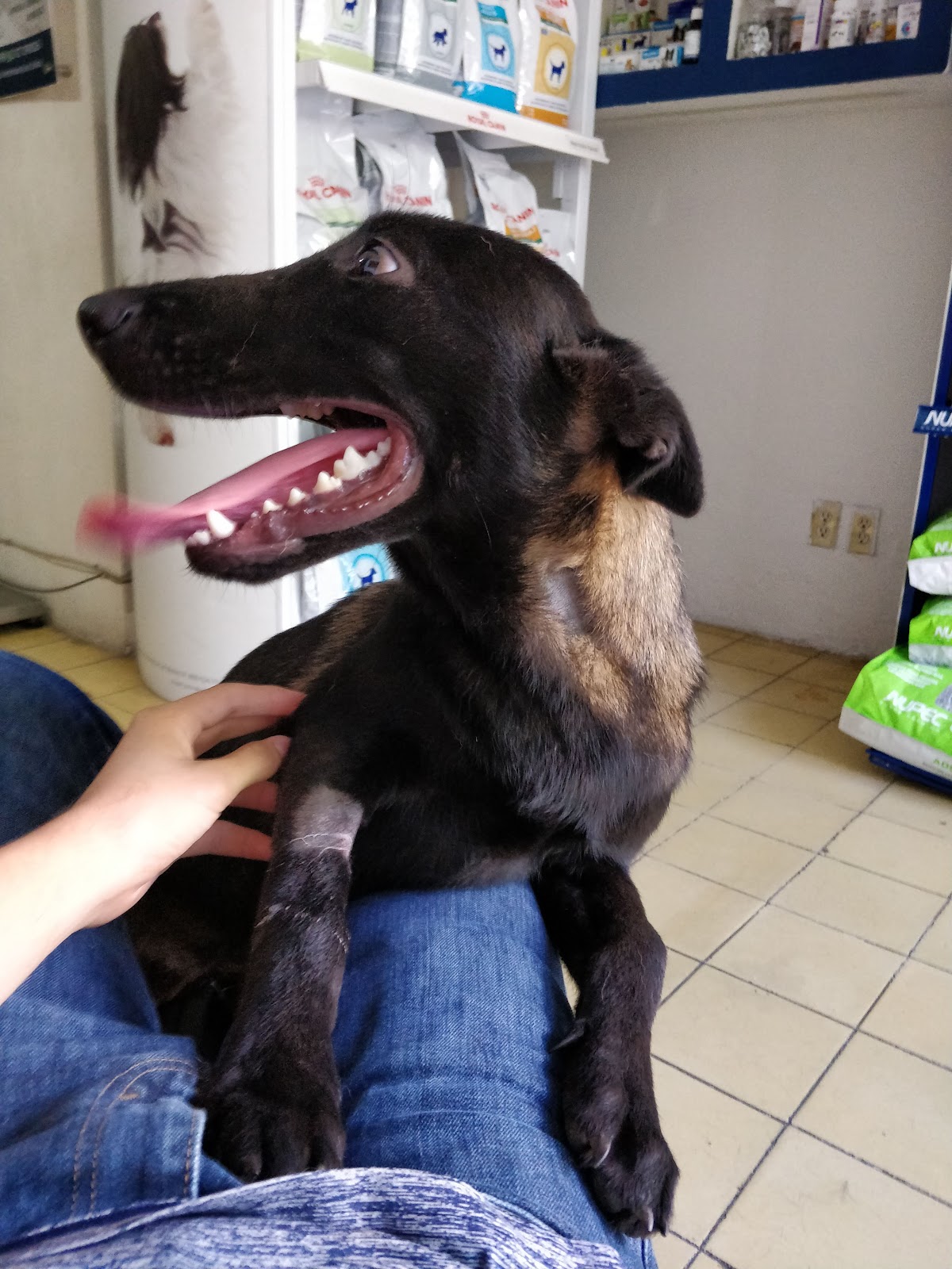 leetx-google-photo-1770165581887-4 leetx-google-photo-1770165581887-4