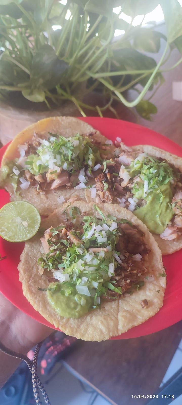 leetx-google-photo-1770165629651-6 leetx-google-photo-1770165629651-6