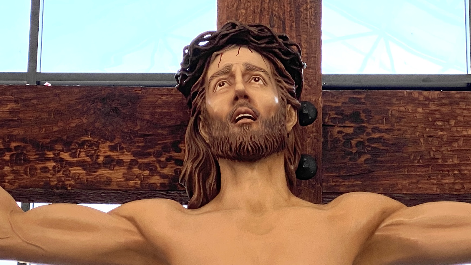 leetx-google-photo-1770165953765-0