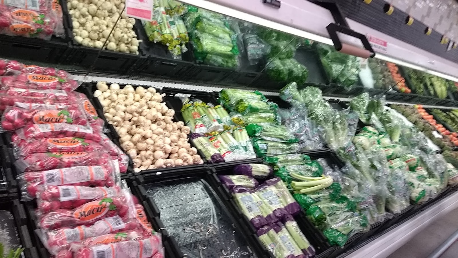 leetx-google-photo-1770166081387-6 leetx-google-photo-1770166081387-6