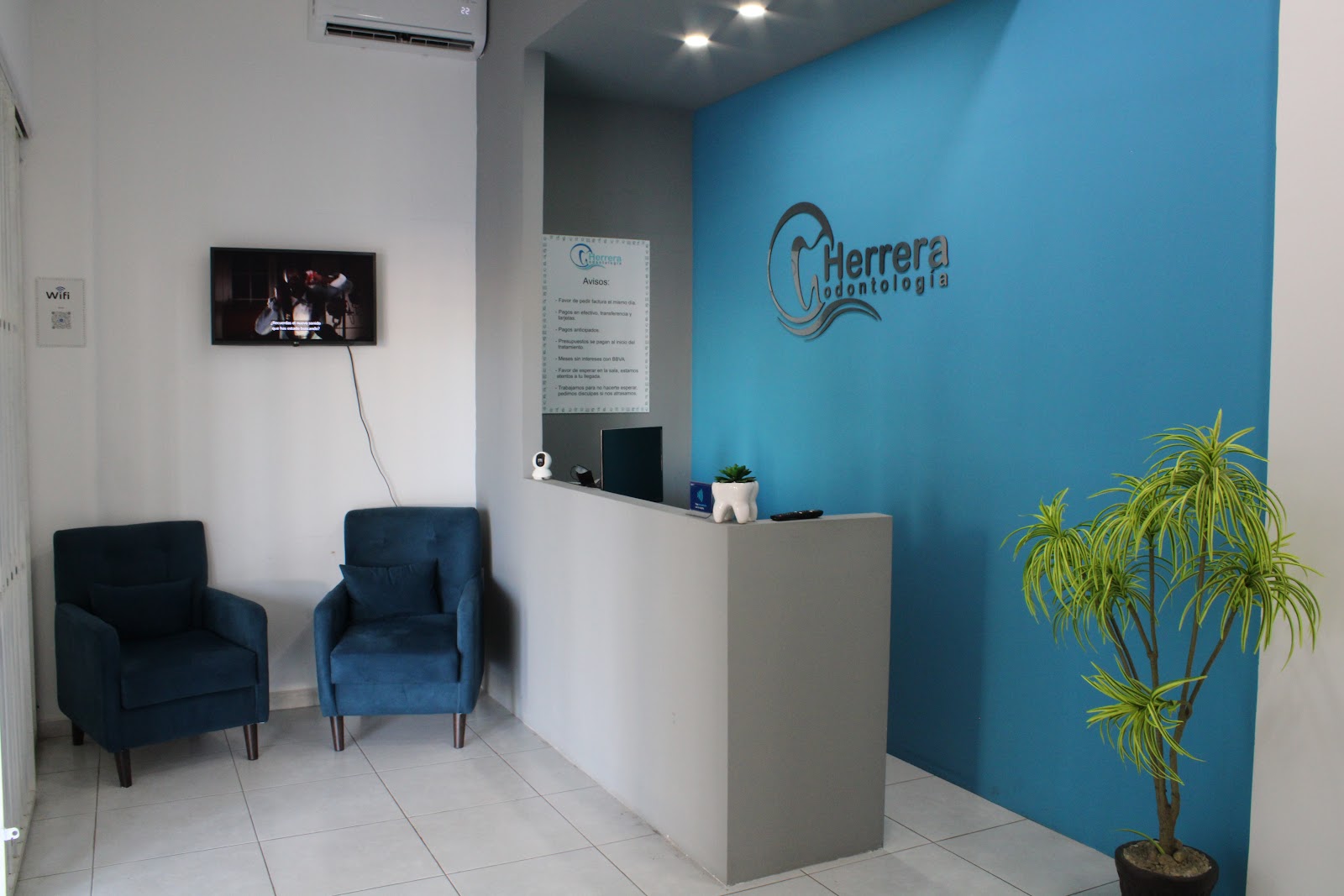 leetx-google-photo-1770166681266-3 leetx-google-photo-1770166681266-3