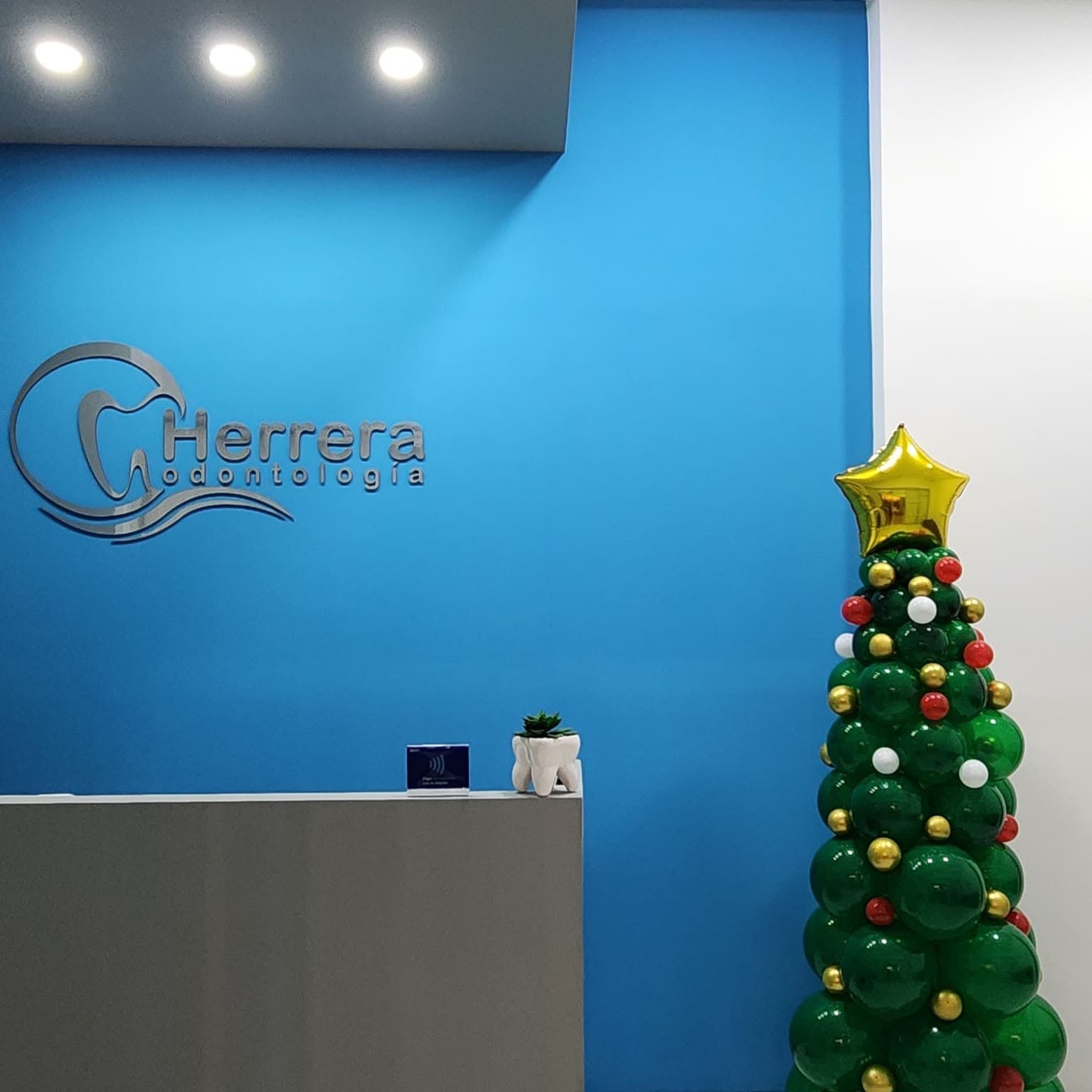 leetx-google-photo-1770166685449-5 leetx-google-photo-1770166685449-5