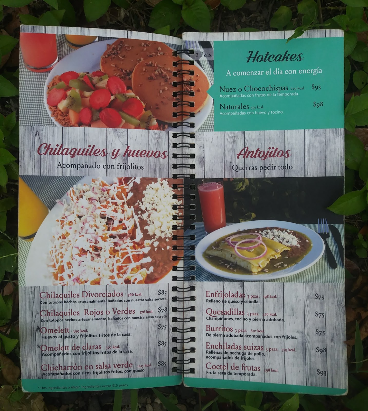 leetx-google-photo-1770166942028-4 leetx-google-photo-1770166942028-4