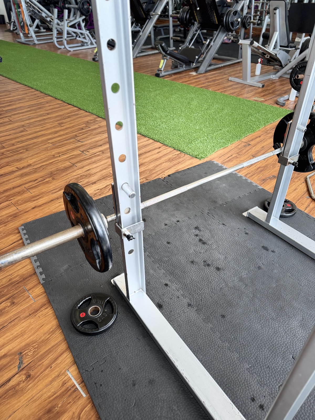 leetx-google-photo-1770167491010-4 leetx-google-photo-1770167491010-4