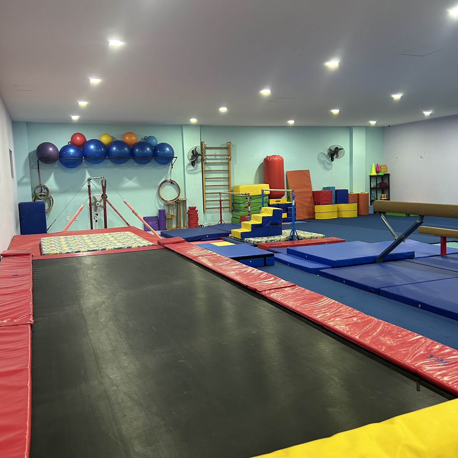 leetx-google-photo-1770167530794-0