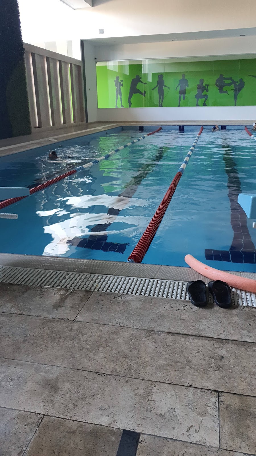 leetx-google-photo-1770167710067-4 leetx-google-photo-1770167710067-4