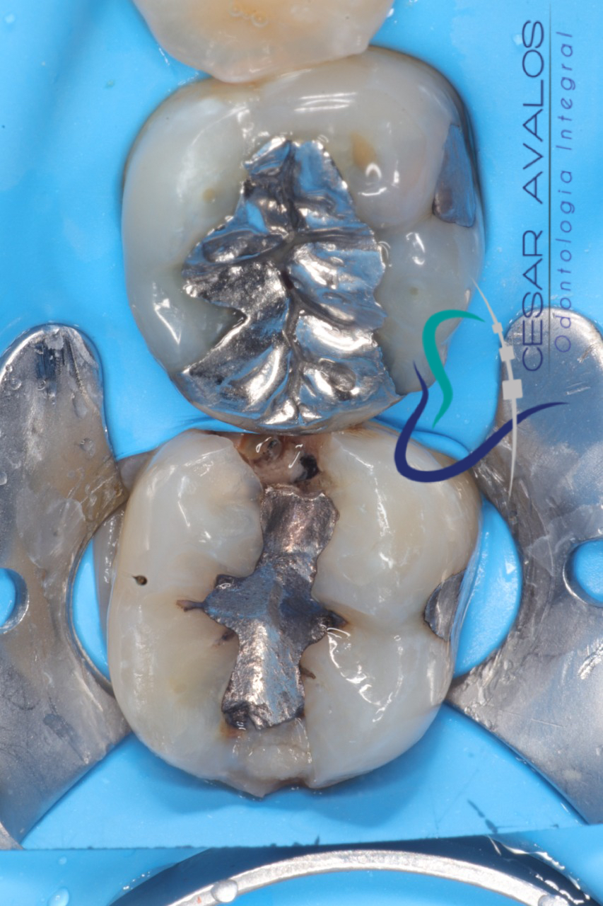 leetx-google-photo-1770169493246-0