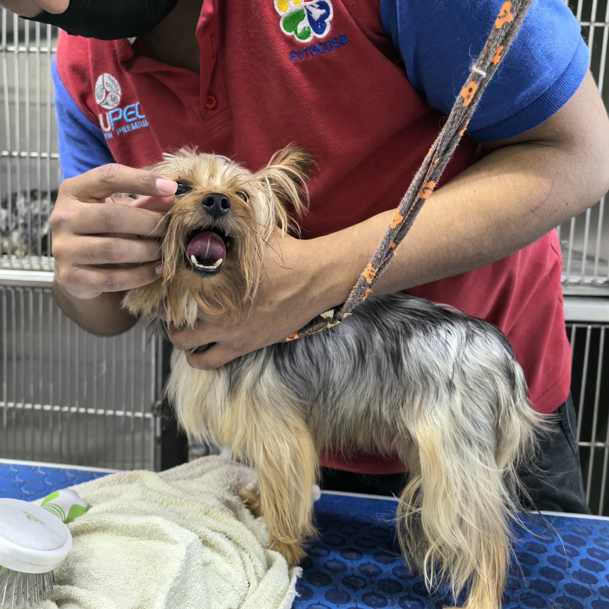 leetx-google-photo-1770169606654-1 leetx-google-photo-1770169606654-1