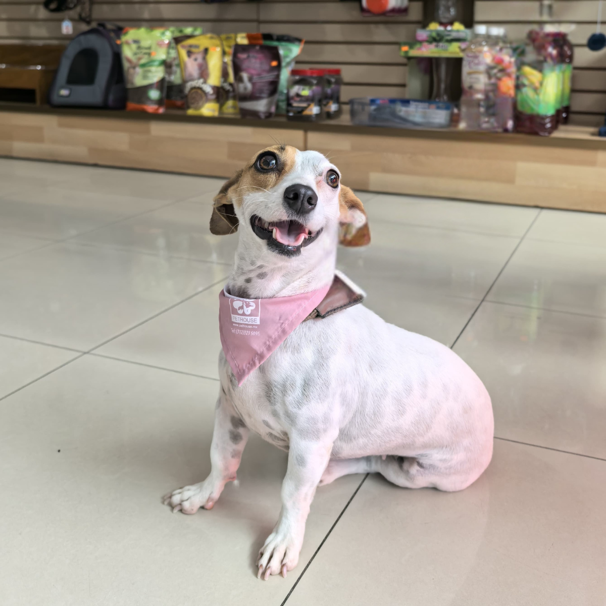 leetx-google-photo-1770169620541-4 leetx-google-photo-1770169620541-4