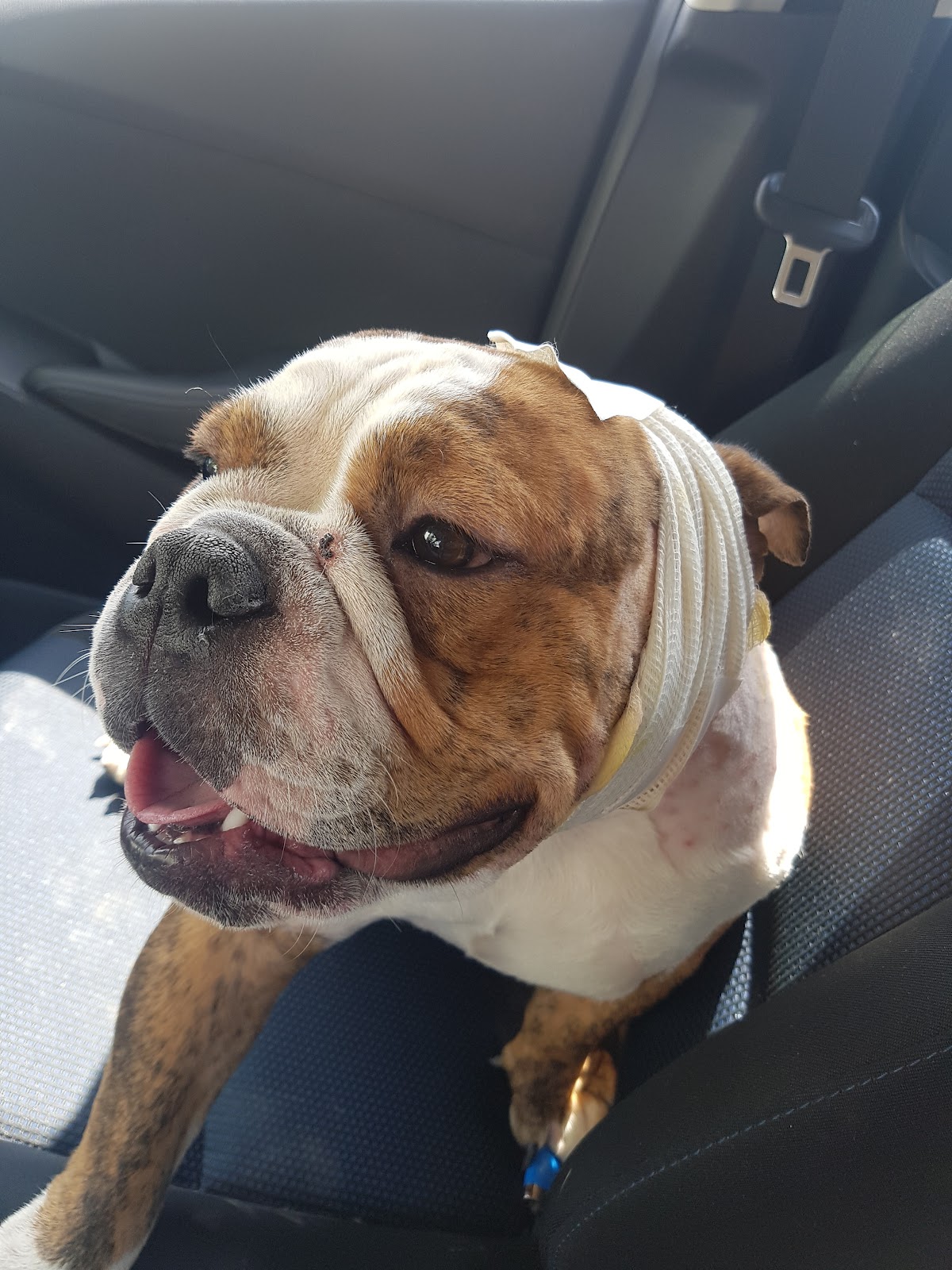 leetx-google-photo-1770169626907-5 leetx-google-photo-1770169626907-5