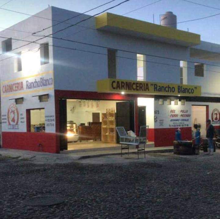 leetx-google-photo-1770239609867-0