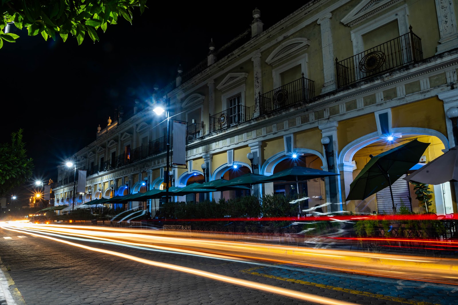 leetx-google-photo-44780-3 leetx-google-photo-44780-3