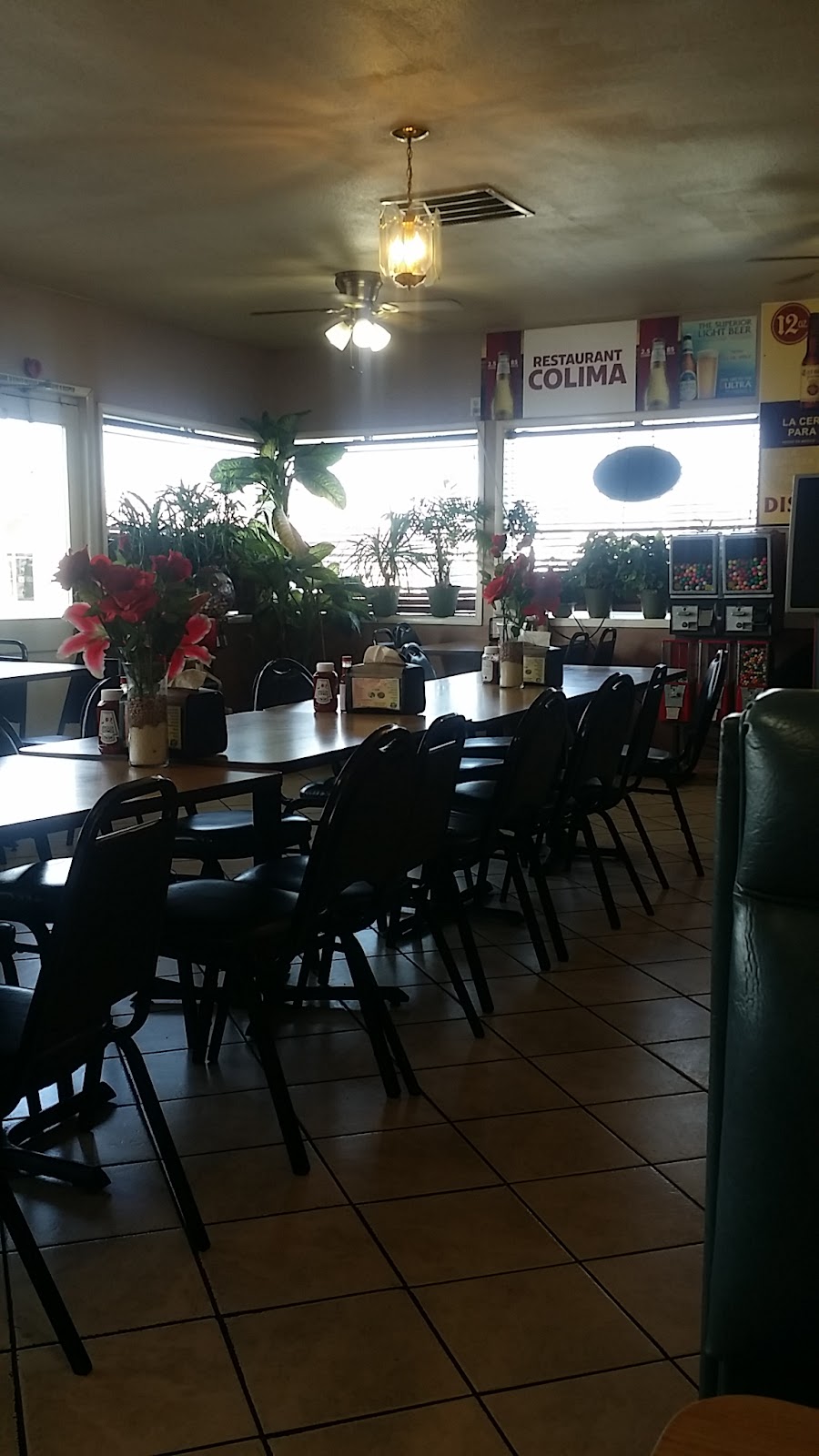 leetx-google-photo-44797-8 leetx-google-photo-44797-8