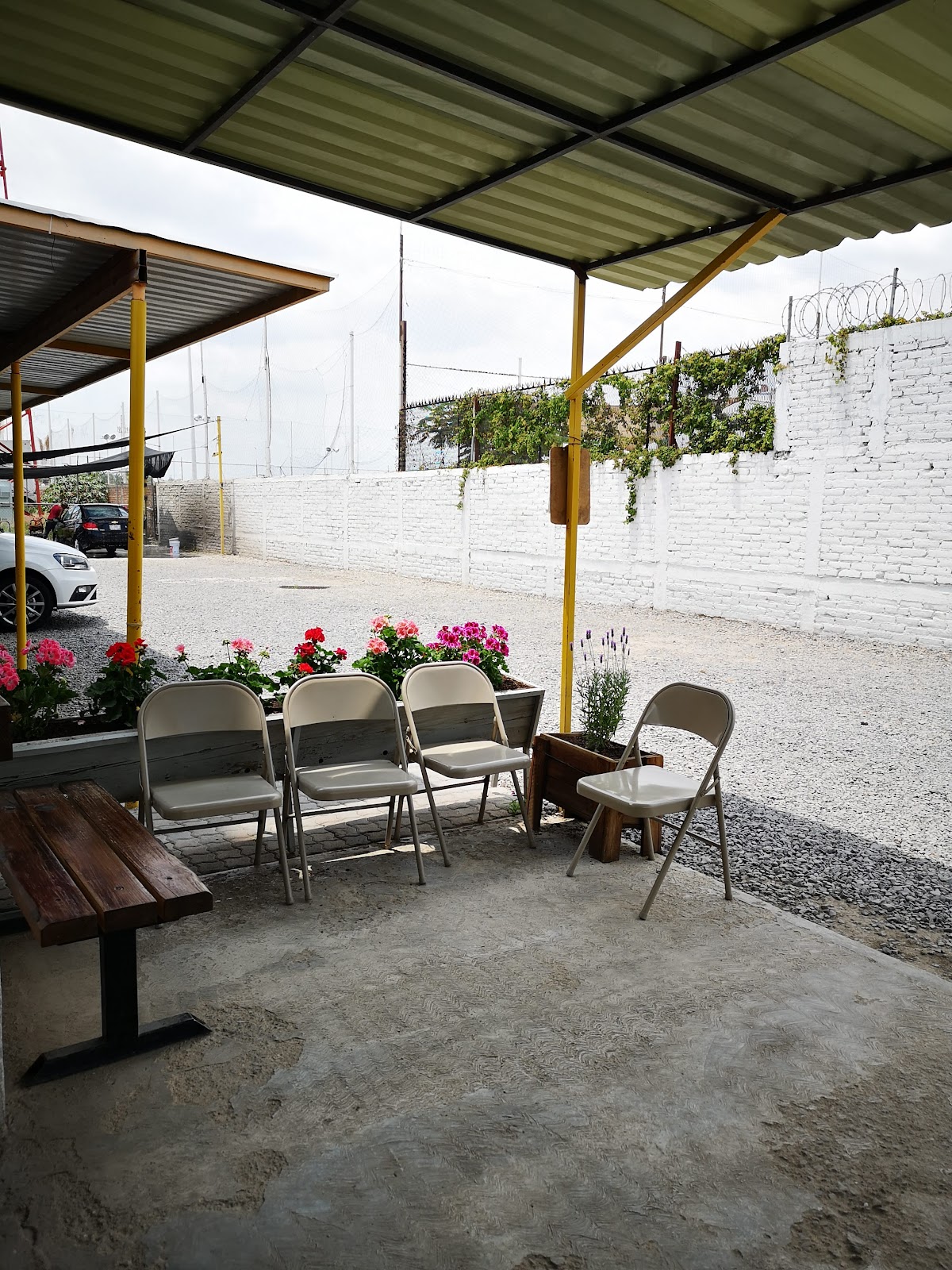 leetx-google-photo-44972-5 leetx-google-photo-44972-5