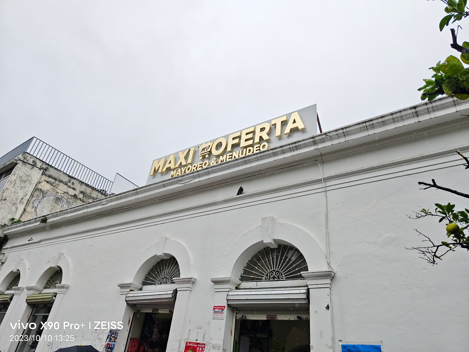 leetx-google-photo-45002-1