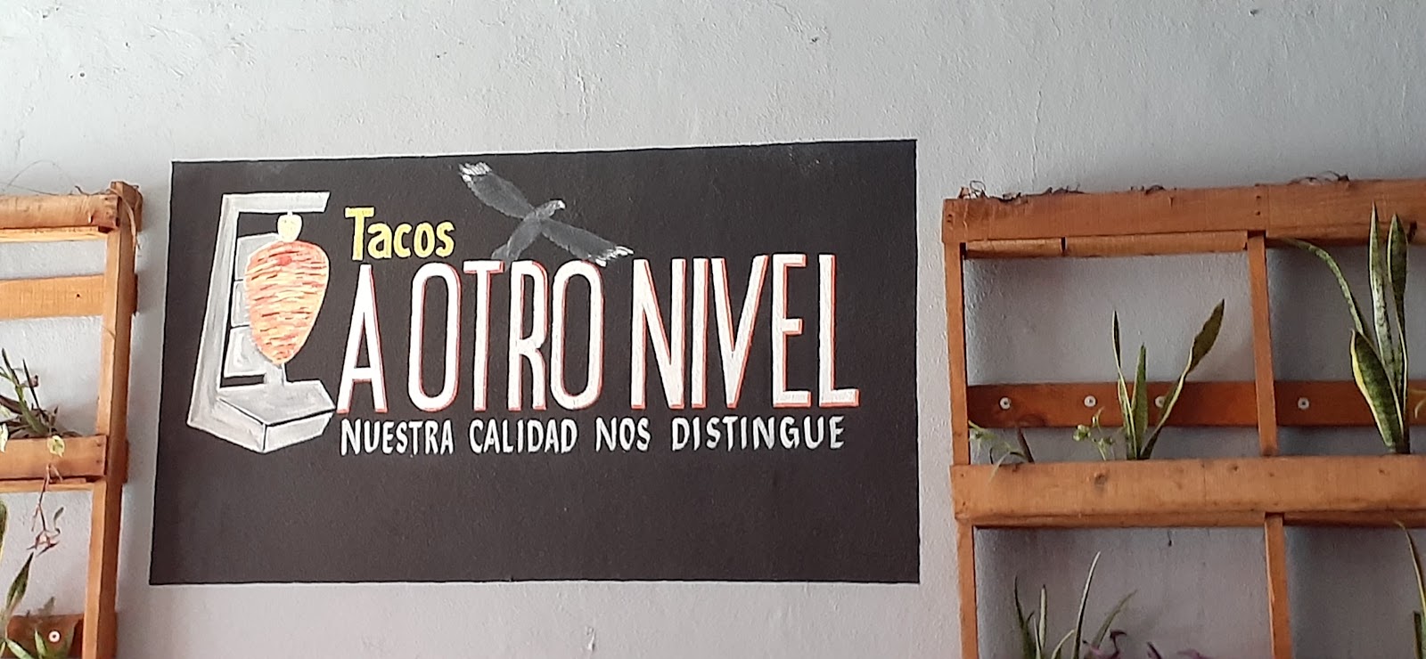 leetx-google-photo-45011-2 leetx-google-photo-45011-2