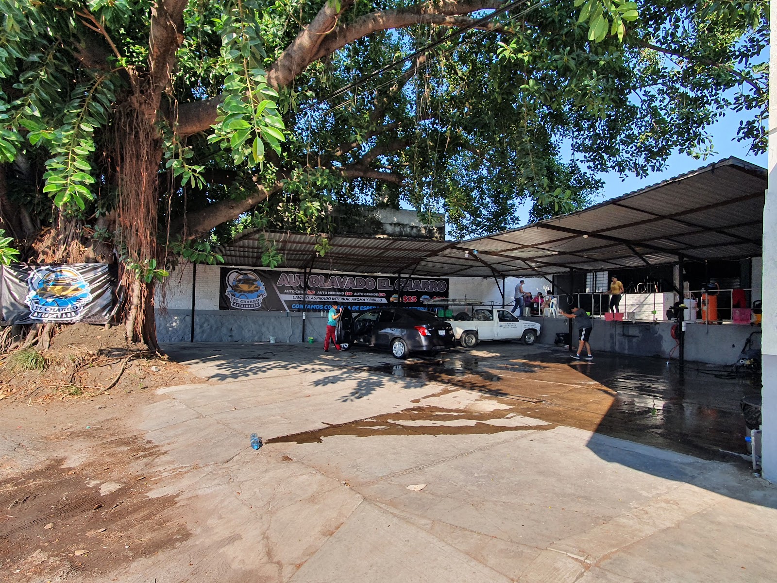 leetx-google-photo-45430-3 leetx-google-photo-45430-3