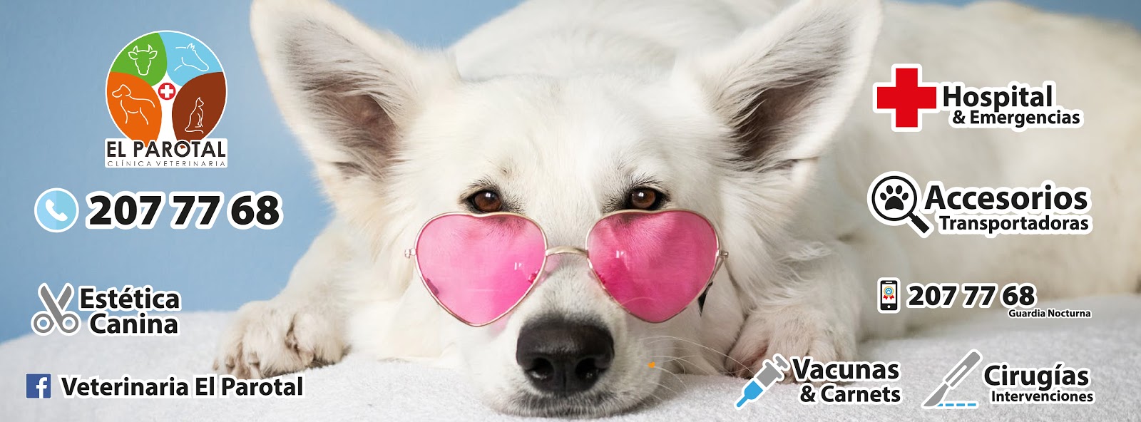 leetx-google-photo-45461-1