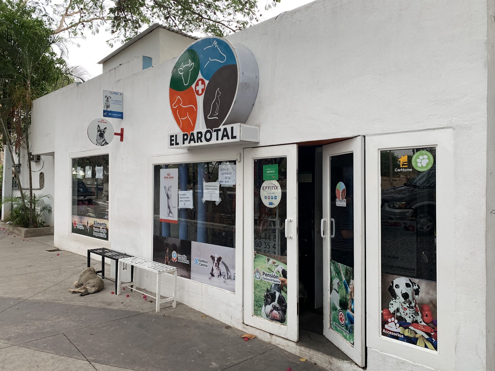 leetx-google-photo-45461-2 leetx-google-photo-45461-2