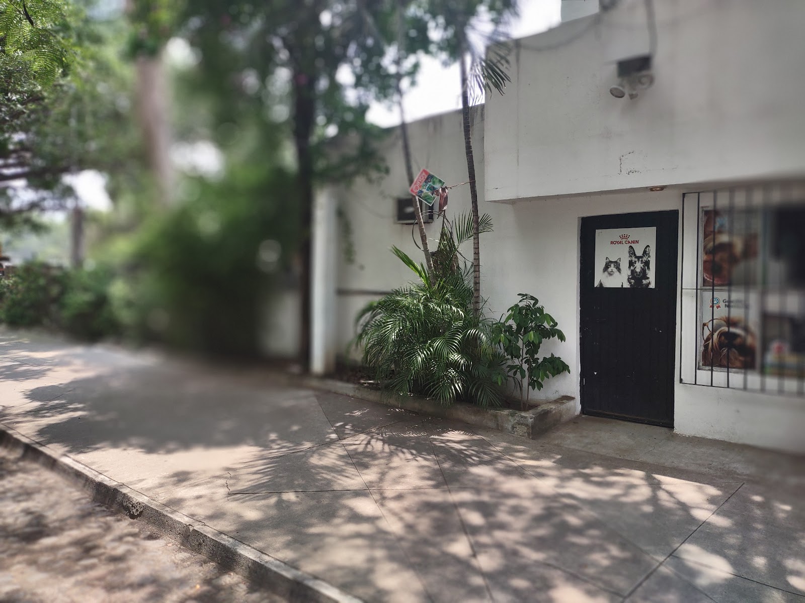 leetx-google-photo-45461-3 leetx-google-photo-45461-3