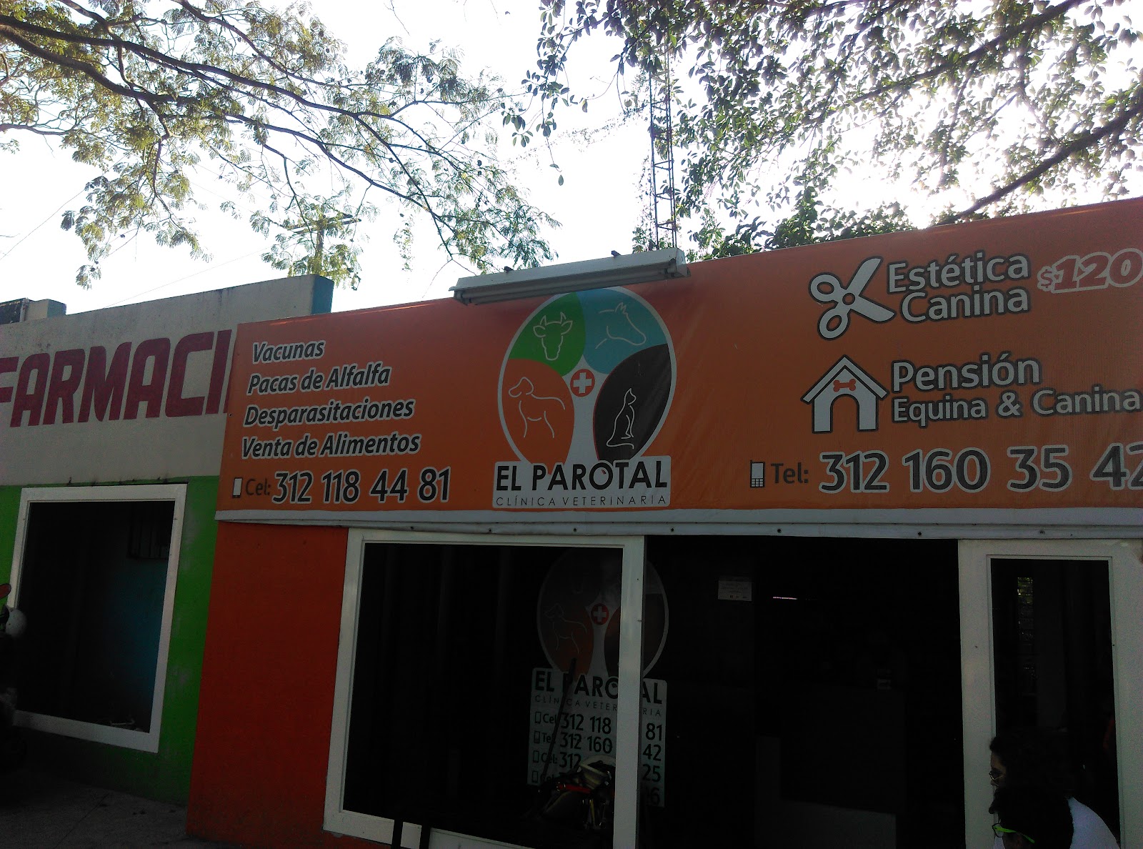 leetx-google-photo-45461-4 leetx-google-photo-45461-4