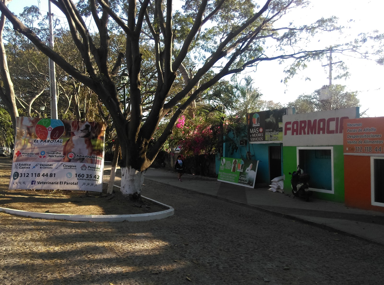 leetx-google-photo-45461-5 leetx-google-photo-45461-5