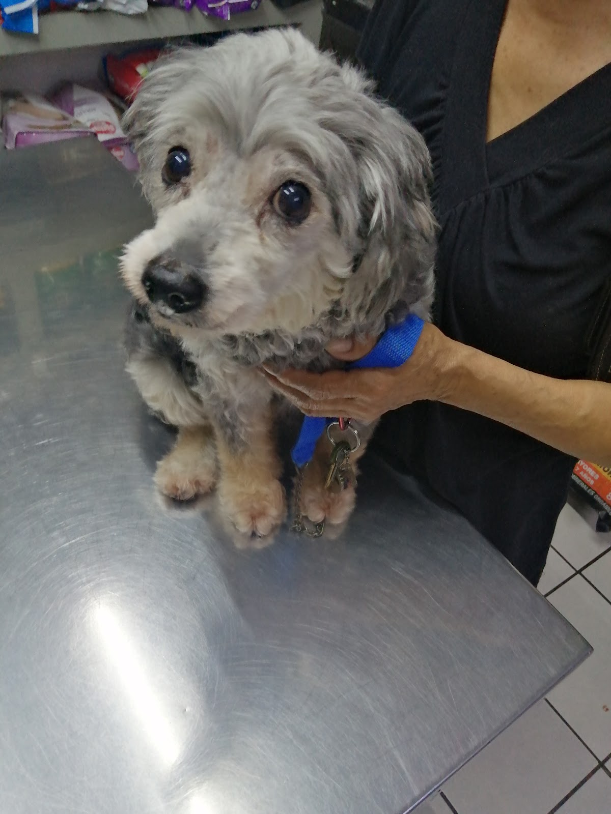 leetx-google-photo-45461-7 leetx-google-photo-45461-7