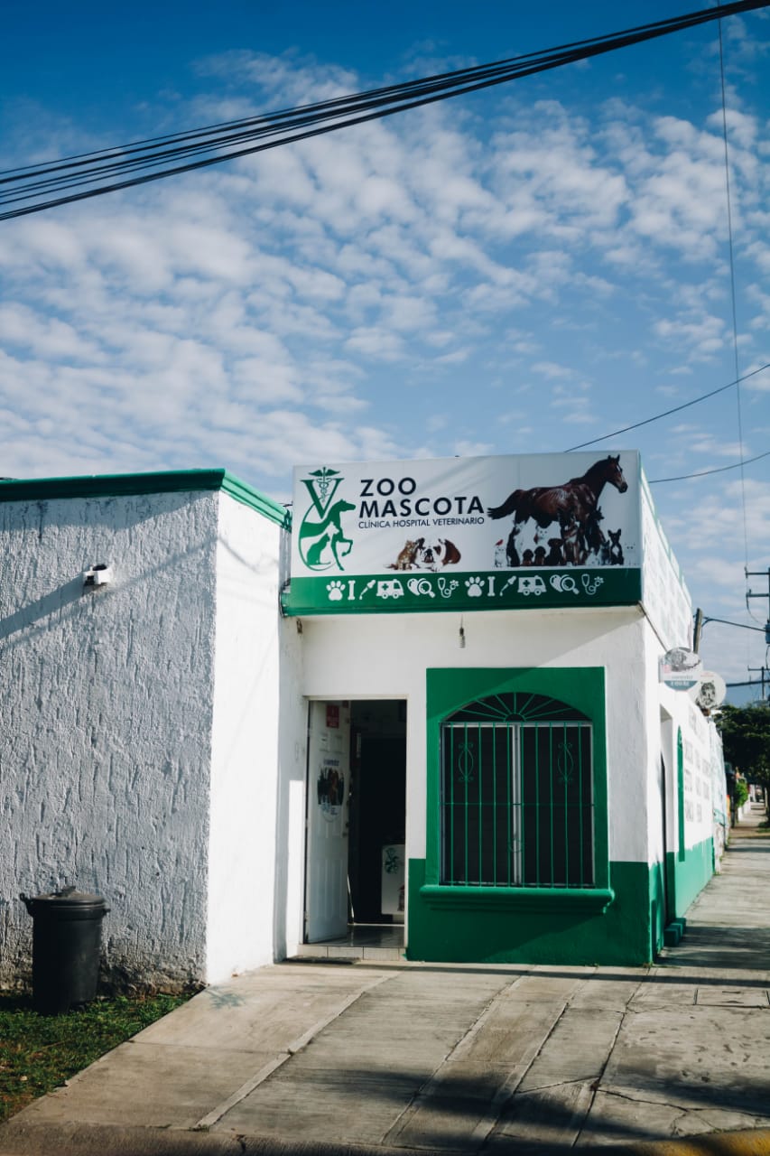 leetx-google-photo-45470-1