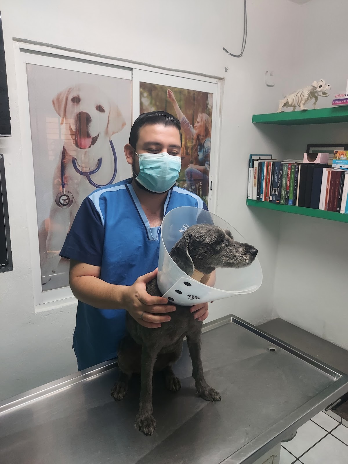 leetx-google-photo-45470-2 leetx-google-photo-45470-2