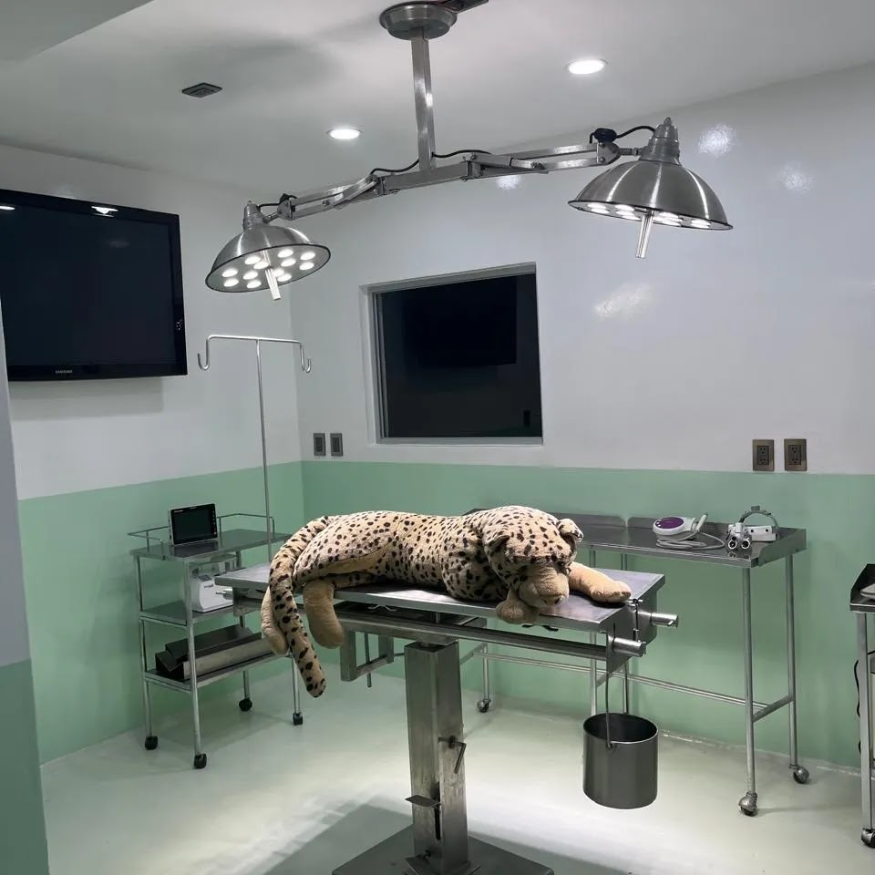 leetx-google-photo-45470-5 leetx-google-photo-45470-5