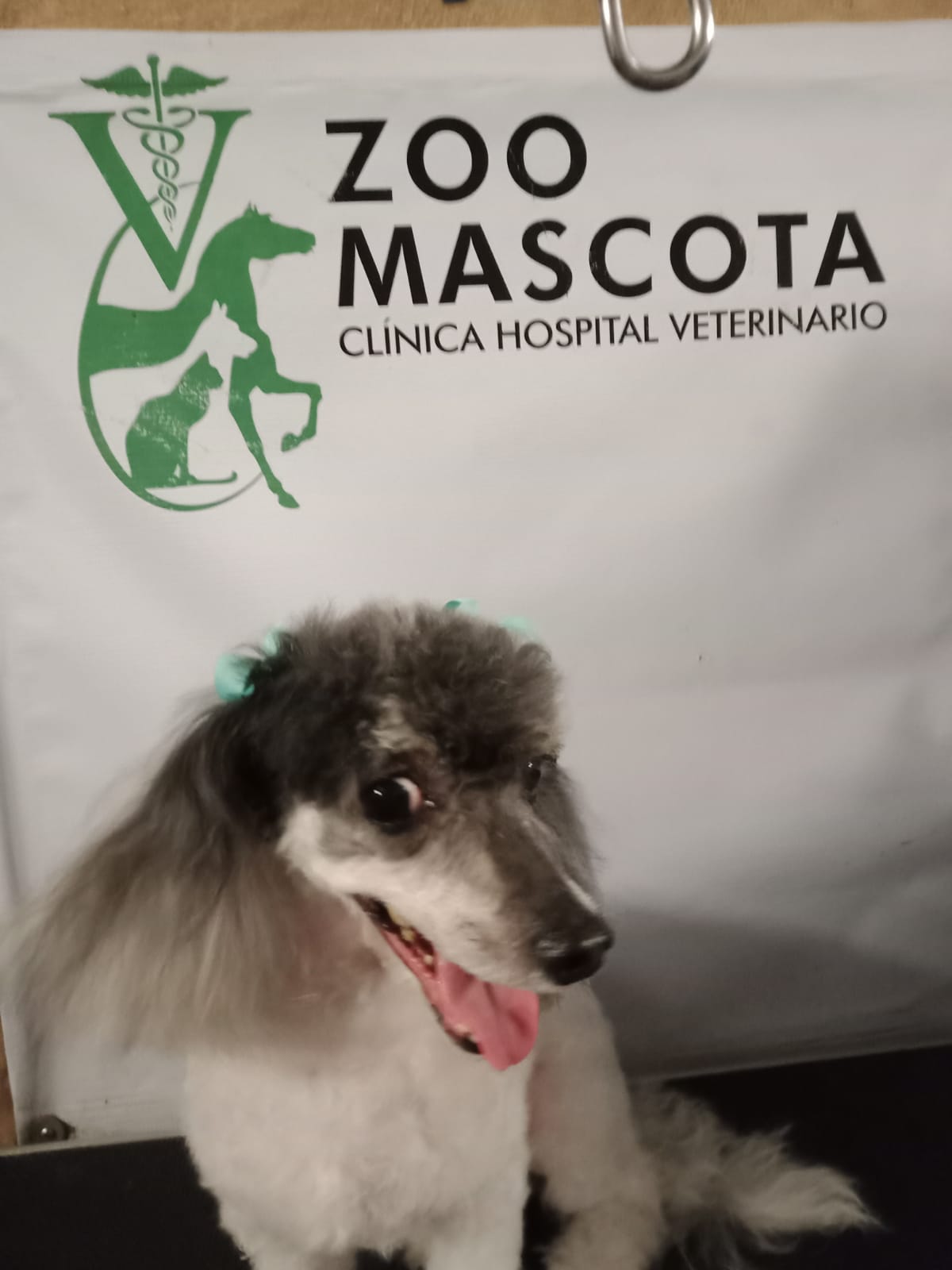 leetx-google-photo-45470-7 leetx-google-photo-45470-7