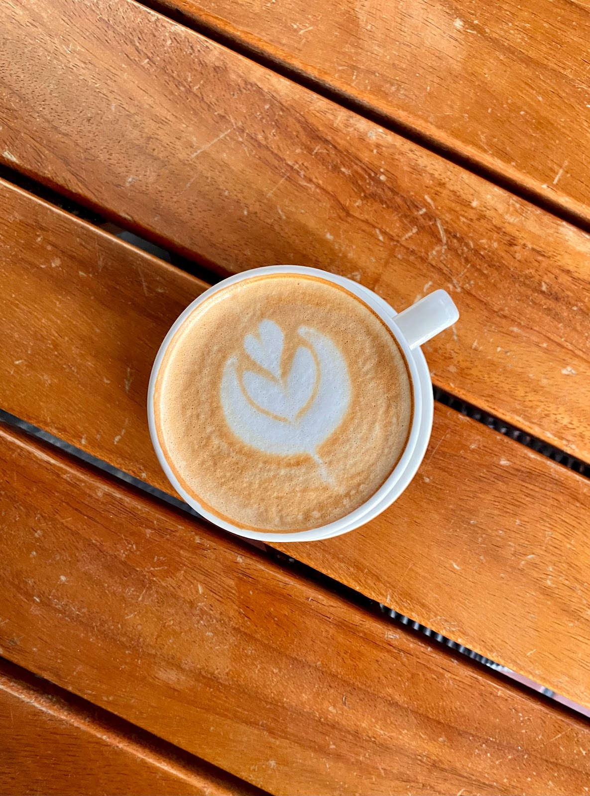 leetx-google-photo-45541-2 leetx-google-photo-45541-2